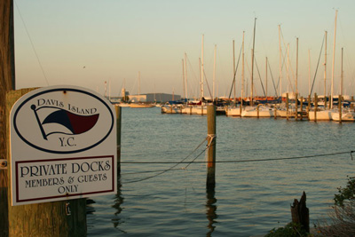 davis island yacht club events