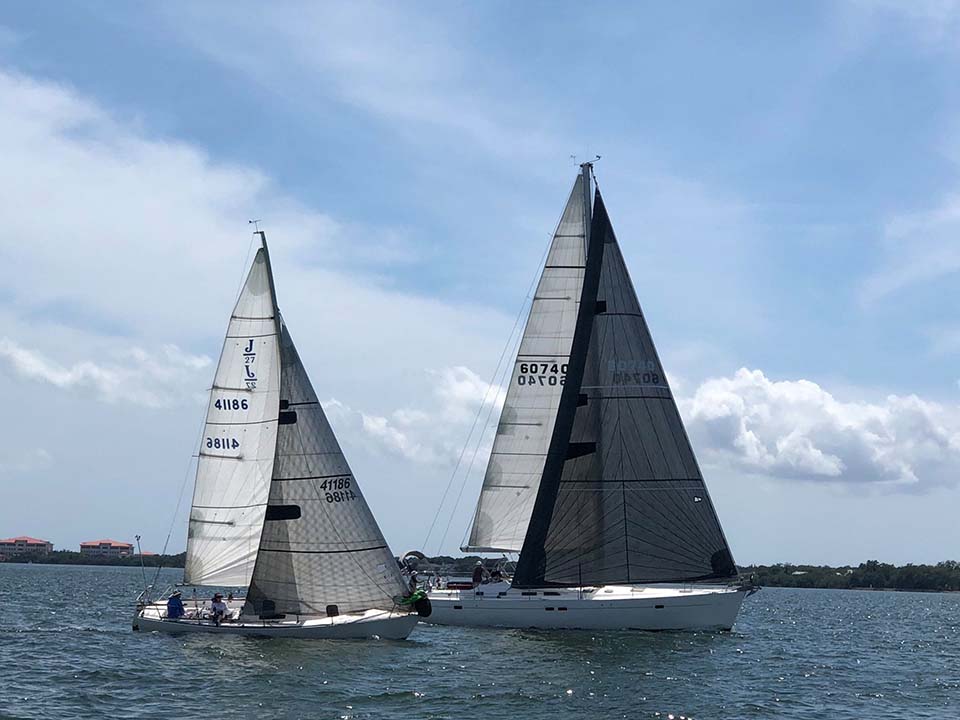 davis island yacht club races