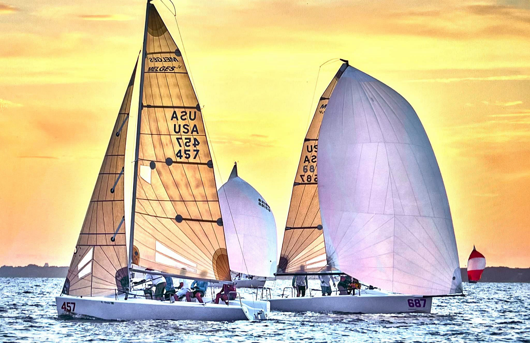davis island yacht club races